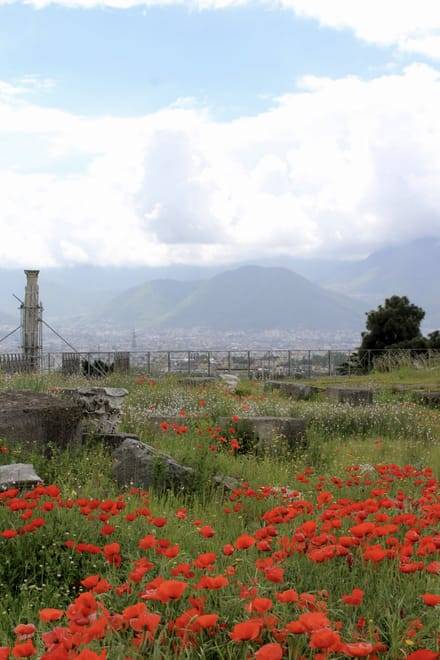 From Naples: Pompeii and Vesuvius Tour