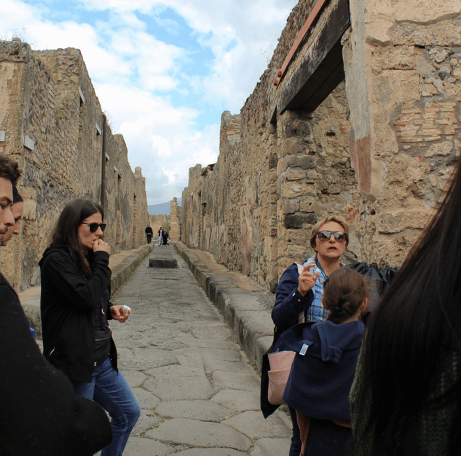 Pompeii and Vesuvius Private Tour with Guide, Transport Included