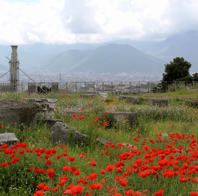 Pompeii Tour: Explore the Ruins from Naples. Driver, Guide and Ticket Included