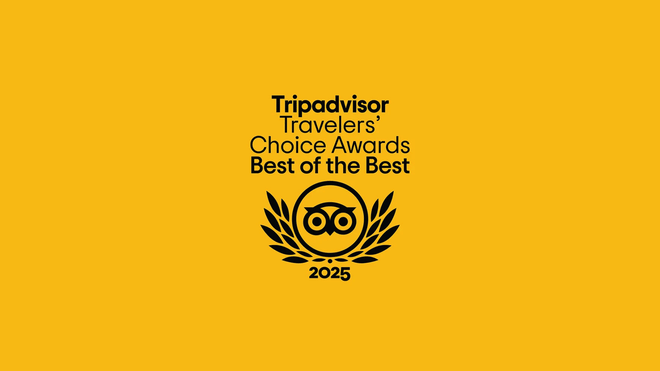 Positano and Sorrento private tour with Pizza class in Naples