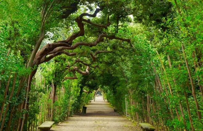 Boboli Gardens Guided Tour