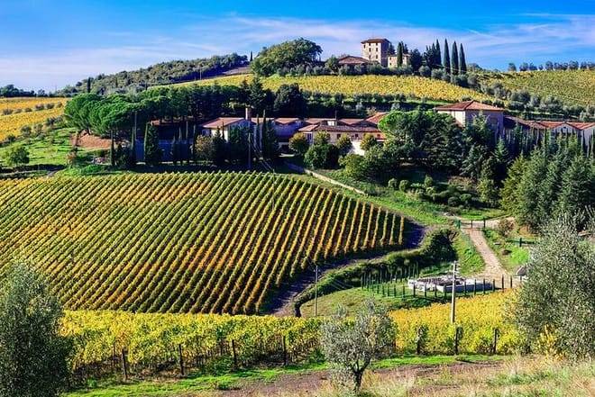 Chianti Half day Wine tour from Florence