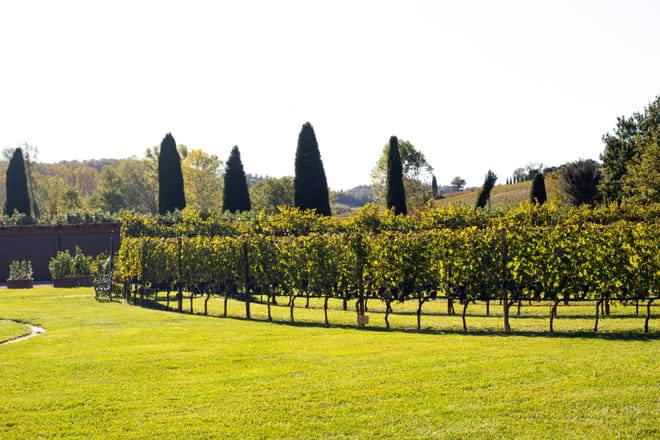 Chianti Half day Wine tour from Florence