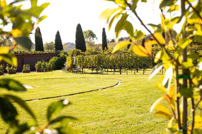 Chianti Half day Wine tour from Florence