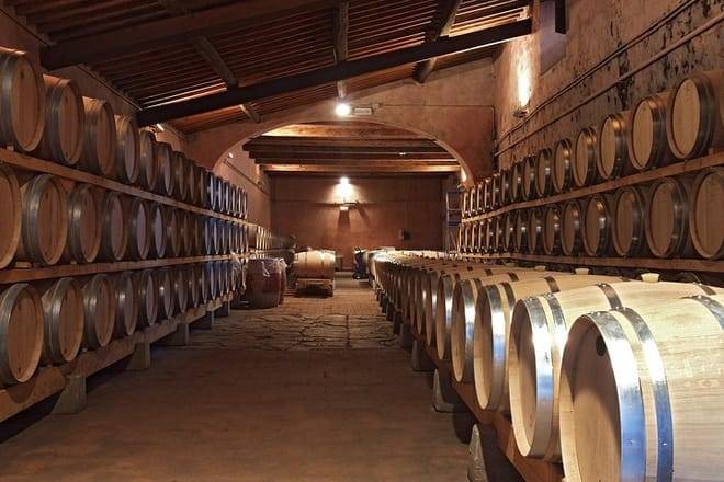 Dinner in the Vineyards