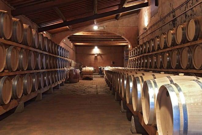 Half-Day Brunello di Montalcino Wine Tour from Siena