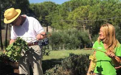 Tuscany Wine & Hills from Siena