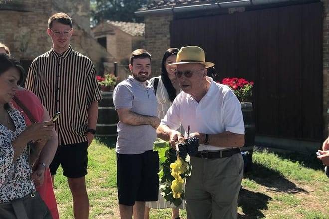 Tuscany Wine & Hills from Siena