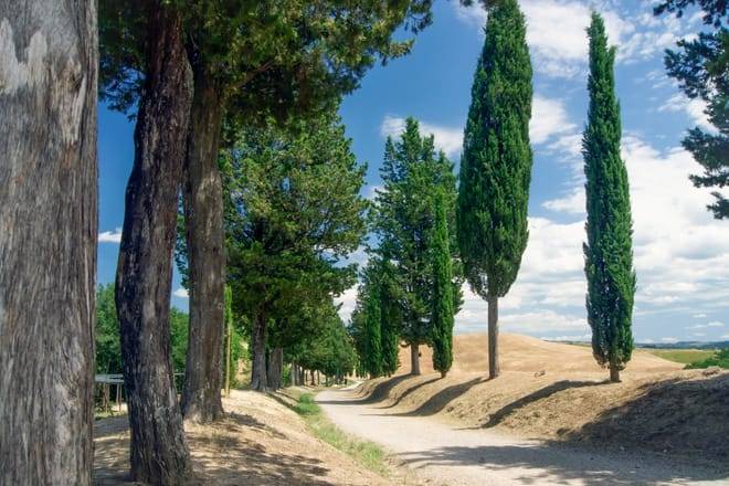 Tuscan Day Trip: Medieval Villages, Cooking Class & Wine Tasting
