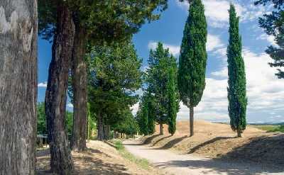 Tuscan Day Trip: Medieval Villages, Cooking Class & Wine Tasting