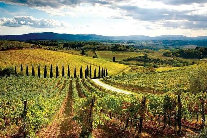 Tuscan Day Trip: Medieval Villages, Cooking Class & Wine Tasting