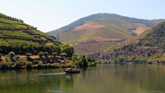 Douro Valley Small Group Tour with Wine Tastings, Lunch and River Cruise 