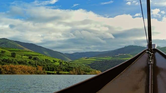 Douro Valley Small Group Tour with Wine Tastings, Lunch and River Cruise 