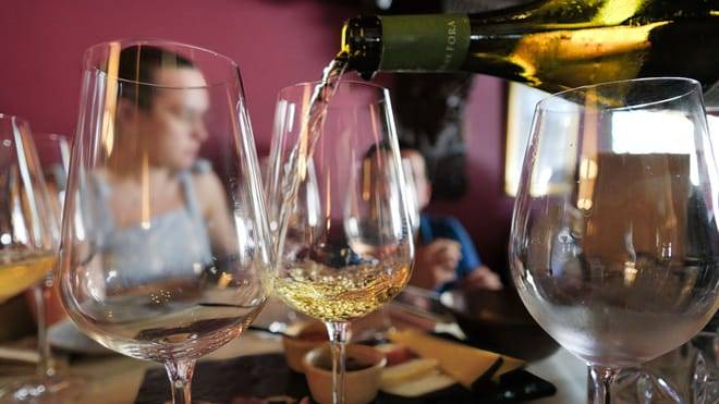 Oporto Wine Tour & One-Hour Fado Experience