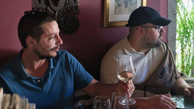 Oporto Wine Tour & One-Hour Fado Experience