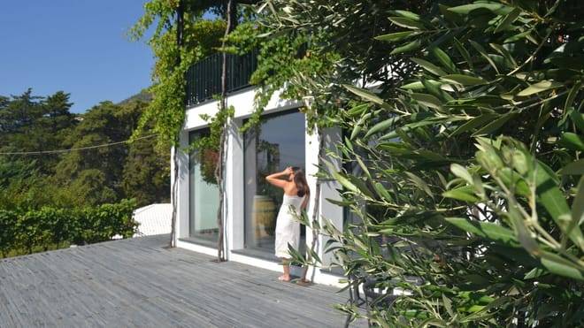 Three-Winery Douro Valley Experience for Wine Lovers