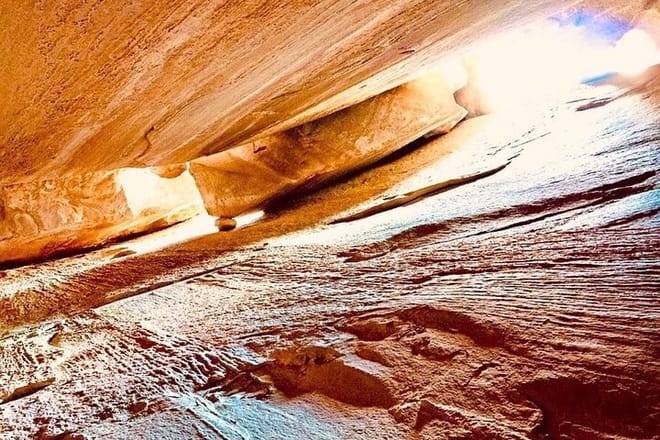 Tour with the Mountain Train, Trek to Mystic Forest and Castle 