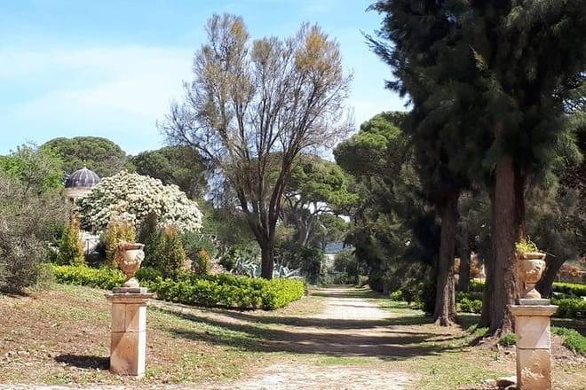 Private Full Day Tour from Catania: Unknown Sicily