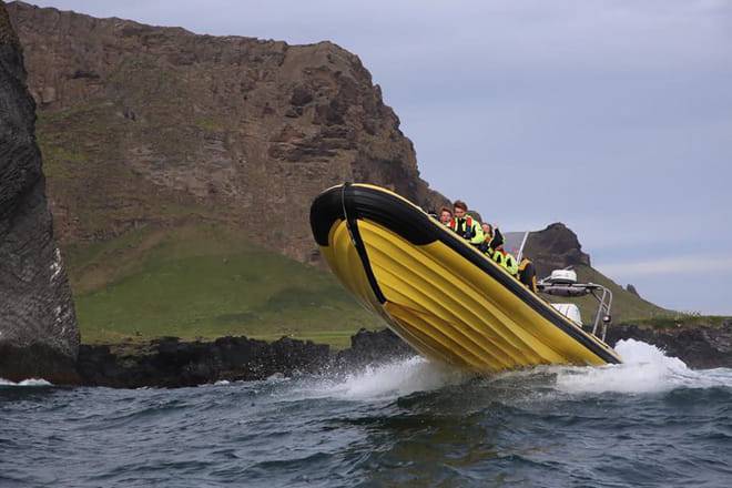 Whale  Watching from Downtown Reykjavik by RIB Speedboat 