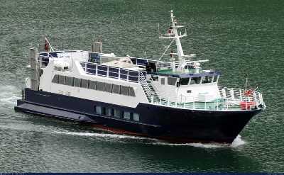 Reykjavík Whale Watching Cruise with Drink Voucher – Scenic Wildlife Experience