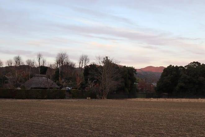 Kyoto Arashiyama Bamboo Forest Hiking Tour（Hidden Temples）