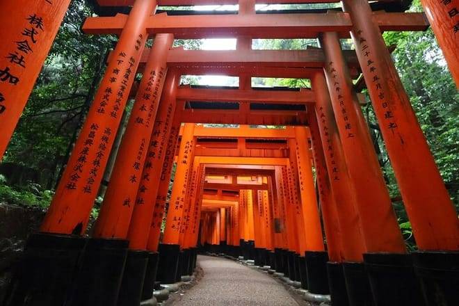 Kyoto Early Bird Tour in Uji and Fushimi Inari 