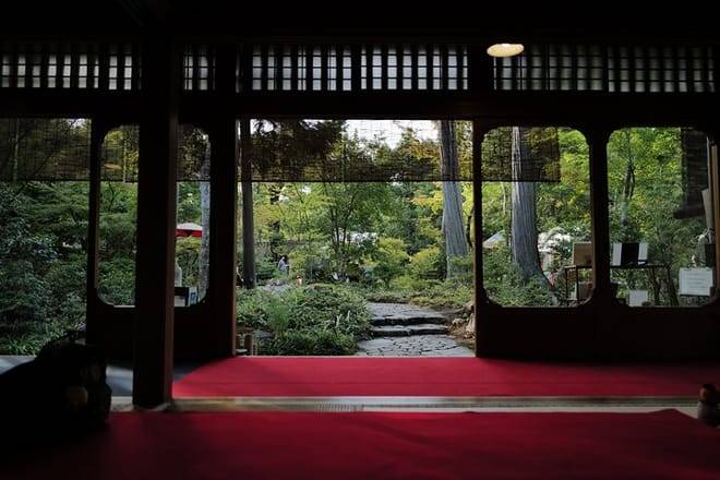 Kyoto Early Morning Tour with English-Speaking Guide