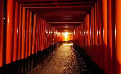 Kyoto Fushimi Inari Night Walking Tour
