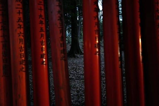 Kyoto Fushimi Inari Night Walking Tour