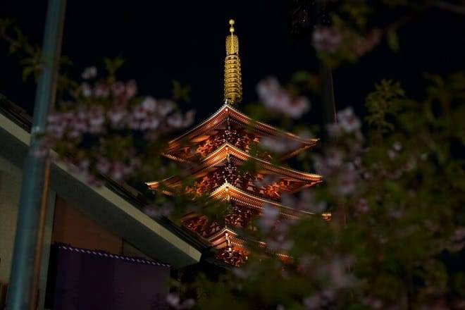 Asakusa Night Evening Walking Tour with English-Speaking Guide