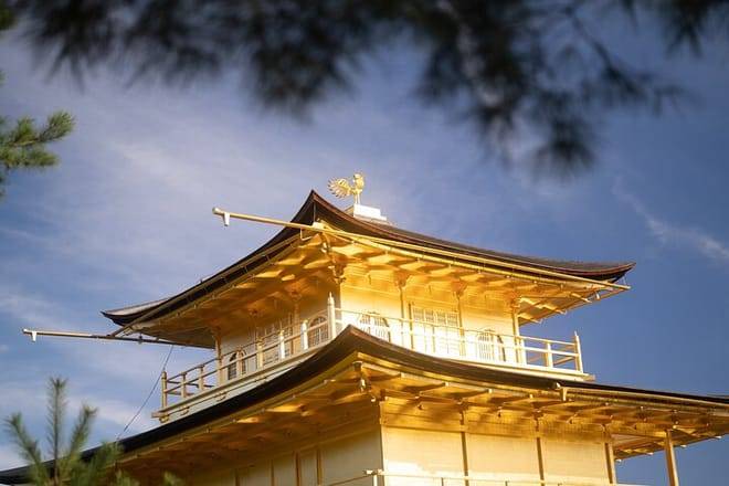 Kyoto Early Bird Tour Tokyo Round or One Way Shinkansen 