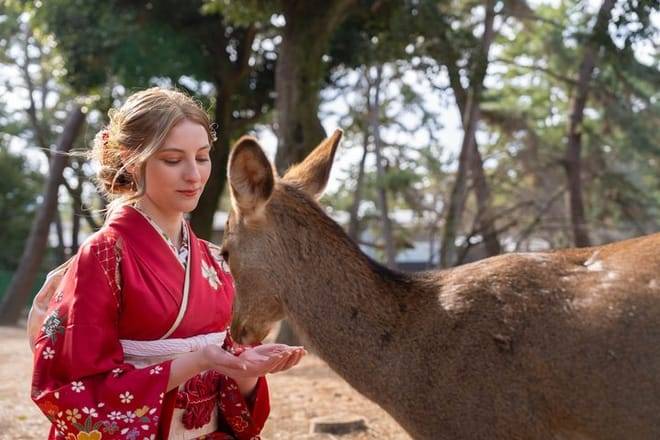 Nara Early Morning Tour (Kyoto or Osaka Departure Available)