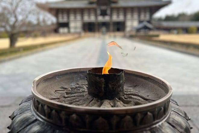 Nara Early Morning Tour (Kyoto or Osaka Departure Available)