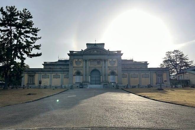 Nara Early Morning Tour (Kyoto or Osaka Departure Available)