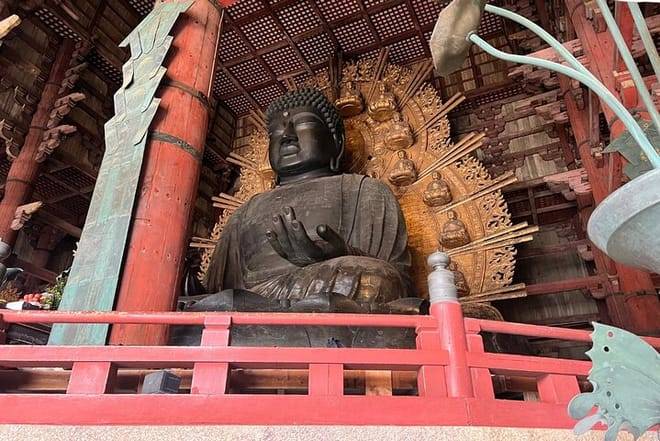 Nara Early Morning Tour (Kyoto or Osaka Departure Available)