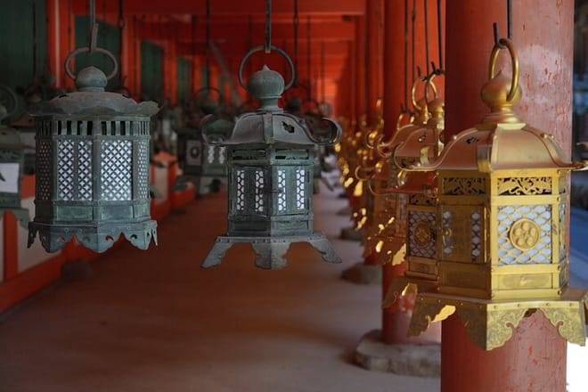 Nara Early Morning Tour (Kyoto or Osaka Departure Available)