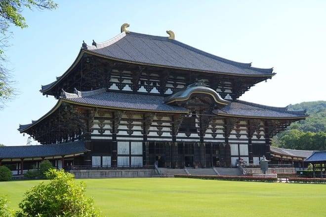 Nara Early Morning Tour (Kyoto or Osaka Departure Available)