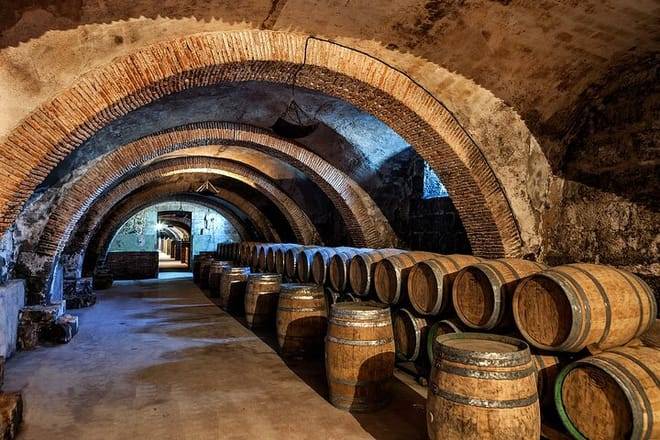 Exclusive Tour Catena Zapata