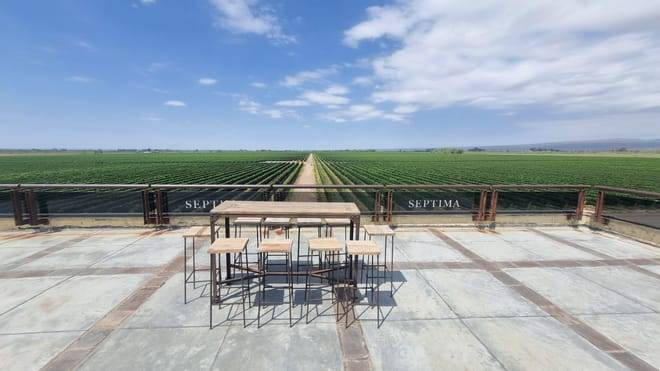 EXPERIENCIA DE BODEGAS