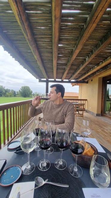 EXPERIENCIA DE BODEGAS
