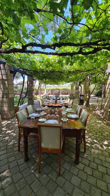 EXPERIENCIA VALLE DE UCO + ALMUERZO INCLUIDO
