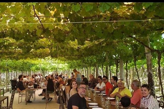 Taste Routes Wines and Oils of Mendoza 