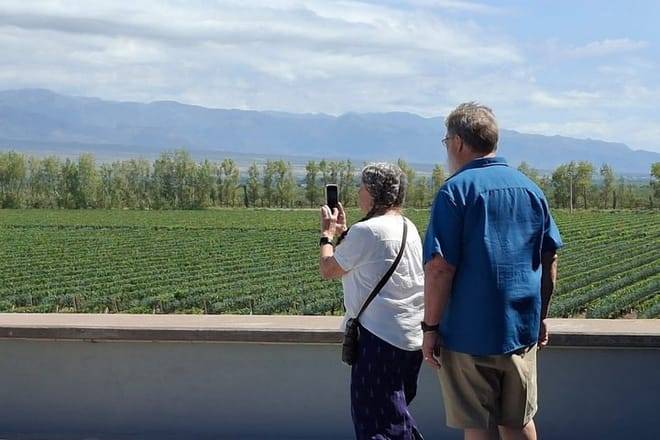 Bike Tour Winery and Olivicolas Tastings