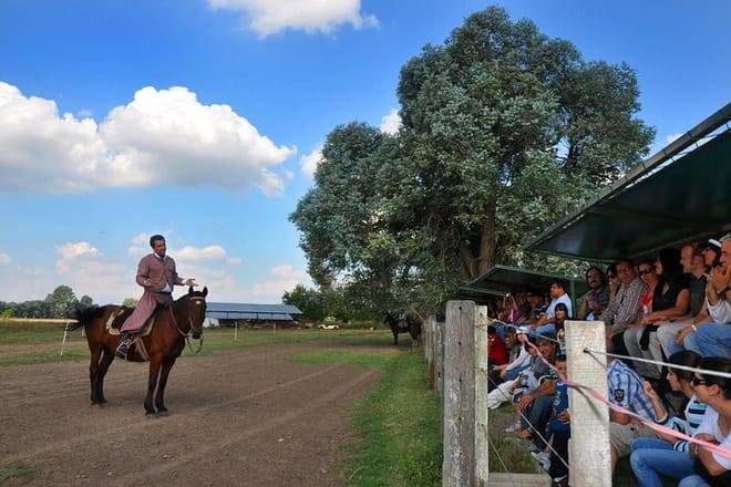 Gaucho Day Trip from Buenos Aires: Don Silvano Ranch