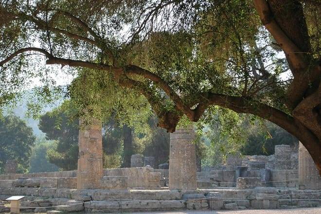 Ancient Olympia Full day Private Guided Tour From Athens