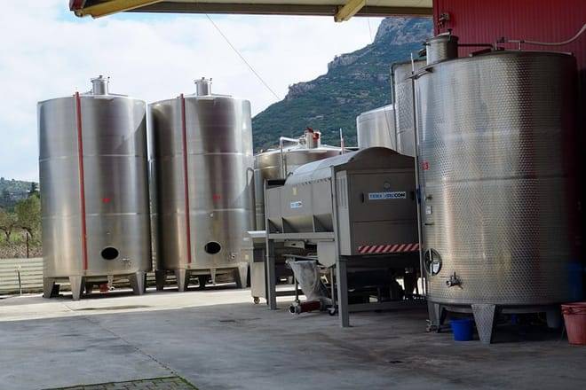 Wine Roads Private Day Tour: Corinth - Ancient Nemea & Wine Tasting