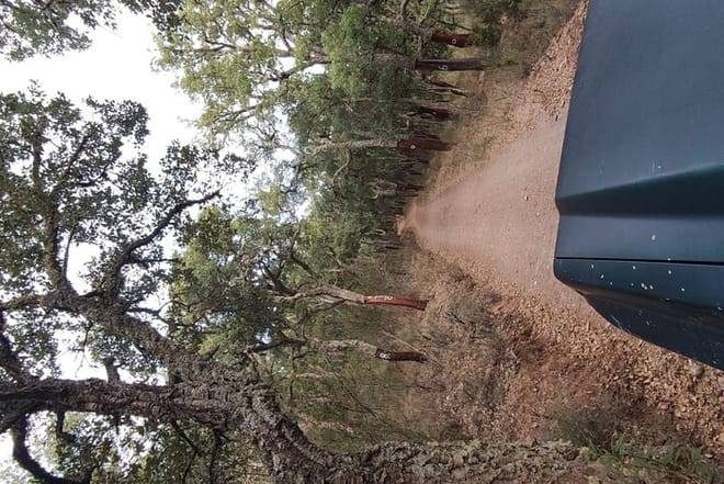 Full-day 4X4 tour Monchique Mountain and Bravura Lake