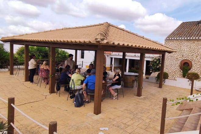 Wine Tasting & Tapas 4x4 Tours