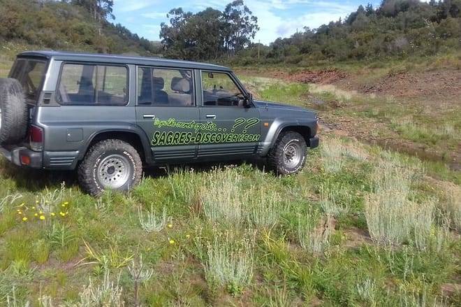 Wine Tasting & Tapas 4x4 Tours