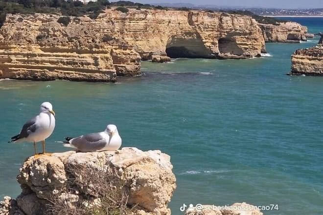 From Faro: Benagil Hiking Cliffs and the 4 Treasure Experience